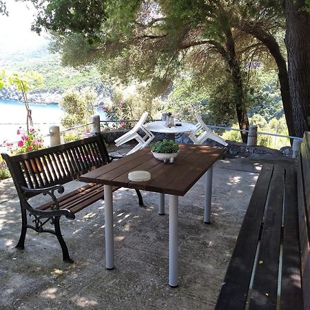 Apartament Andreas' House #Dialiskari4# Limniónas Zewnętrze zdjęcie